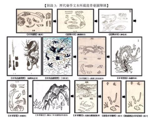 龍骨是什麼|龍骨的物性變遷史，就是一部「昨是今非」的醫療文化。